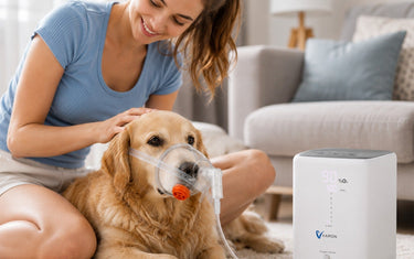Dog oxygen mask size guide for a comfortable fit