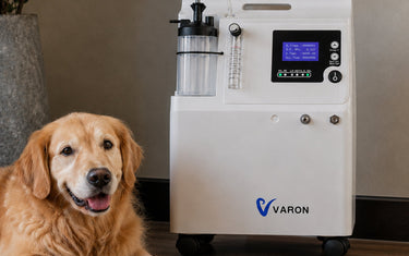 Pet oxygen concentrator specs for flow rate and oxygen concentration