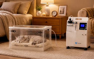 Pet Oxygen Chamber Size Guide: Choosing the Best Fit for Dogs and Cats