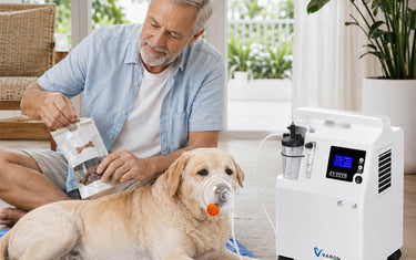Senior dog breathing problems with oxygen concentrator support