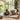 Late-Summer and Short-Nosed Dogs Breathing Stress: What Pet Parents Should Watch For