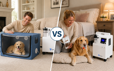 Pet Oxygen Mask vs. Oxygen Chamber: Which Setup Fits Your Pet?