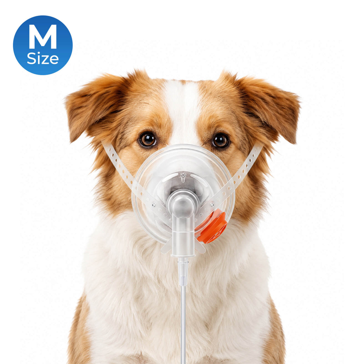 VL-2 Portable Oxygen Concentrator Bundle | Pet Mask Kit